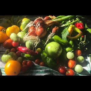 Meet your Posher, Val